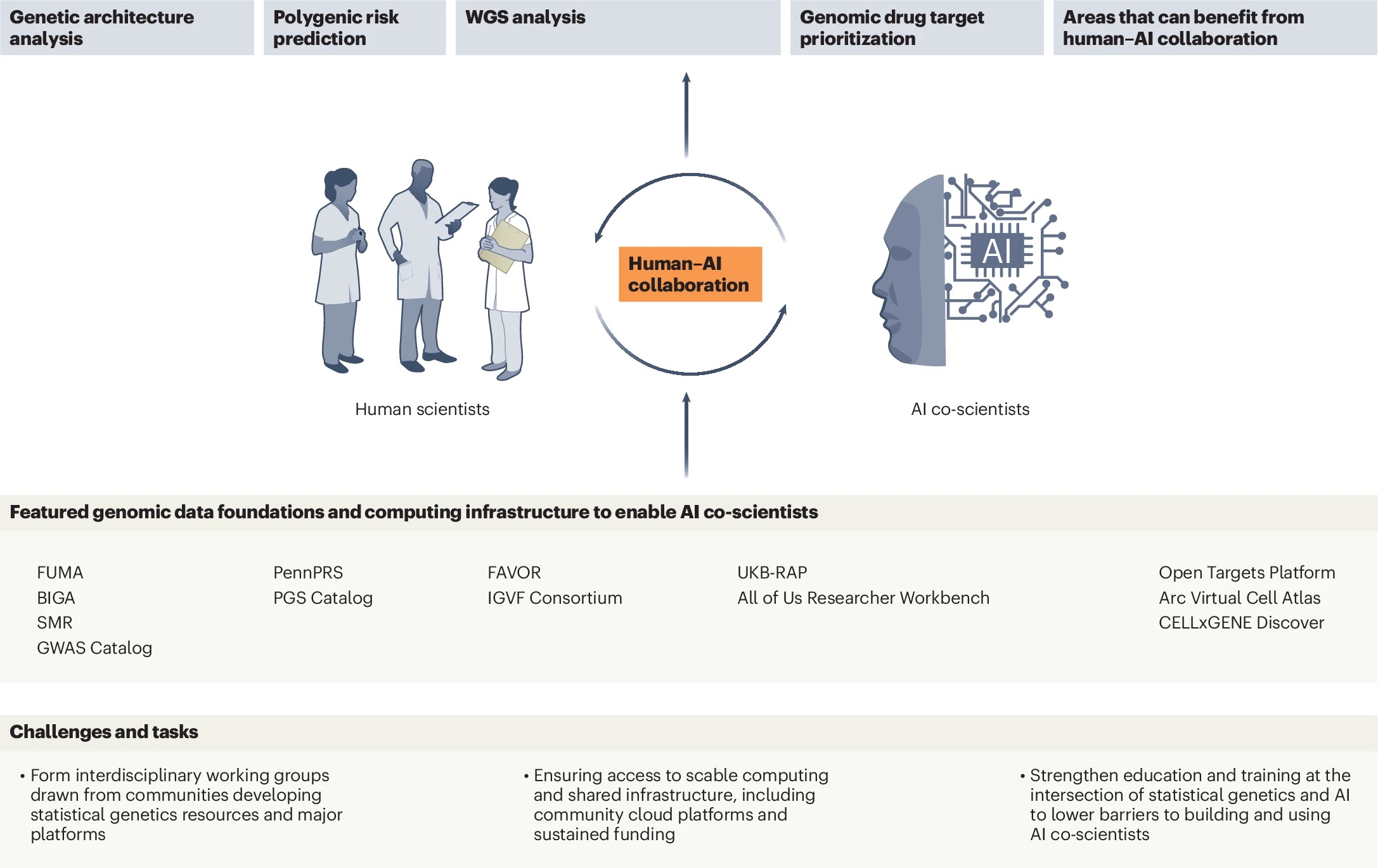 Bingxin Zhao interview figure